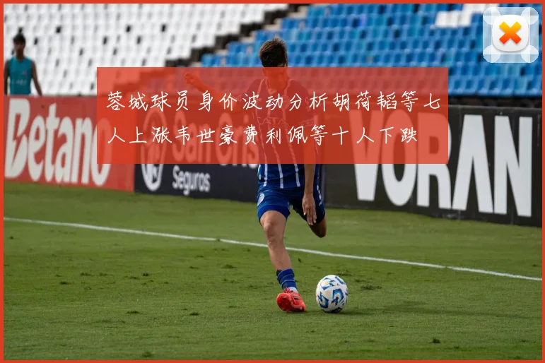 蓉城球员身价波动分析胡荷韬等七人上涨韦世豪费利佩等十人下跌