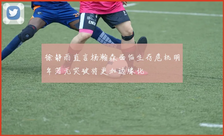 徐静雨直言杨瀚森面临生存危机明年若无突破将更加边缘化