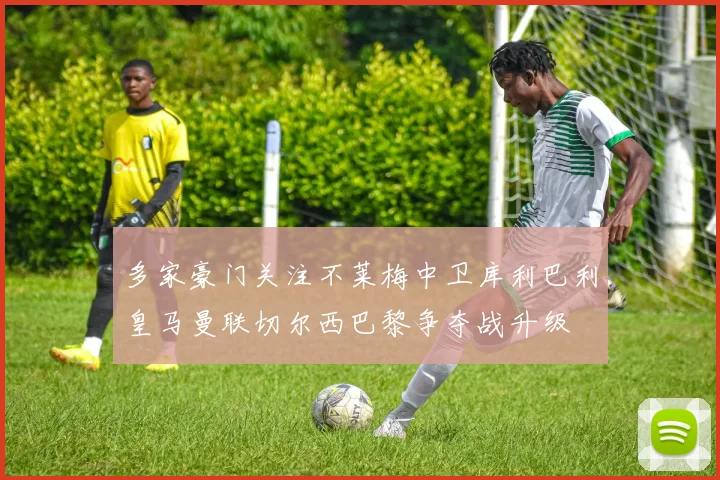 多家豪门关注不莱梅中卫库利巴利皇马曼联切尔西巴黎争夺战升级