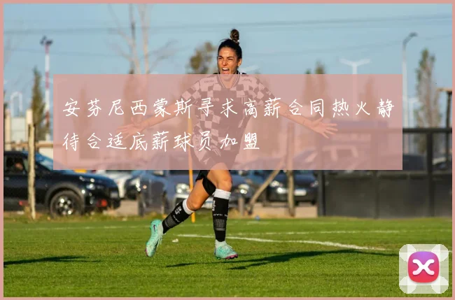 安芬尼西蒙斯寻求高薪合同热火静待合适底薪球员加盟